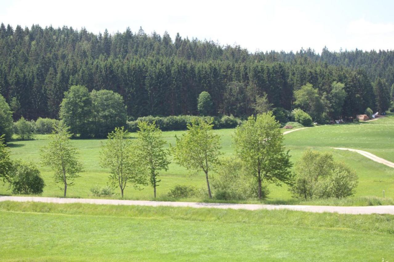 Ferienwohnungen Holzferienhaeuser Leithenwald Zwiesel Eksteriør billede